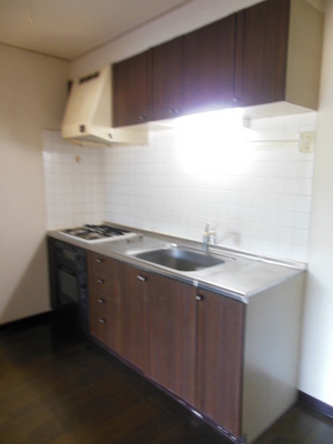 Kitchen. Kitchen space