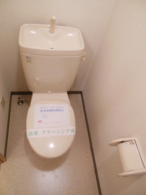 Toilet. Toilet
