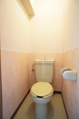 Toilet. Since the bus toilet by, every day, Comfortable Toilet