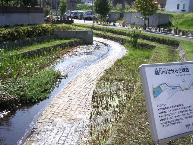 park. 400m to babble park