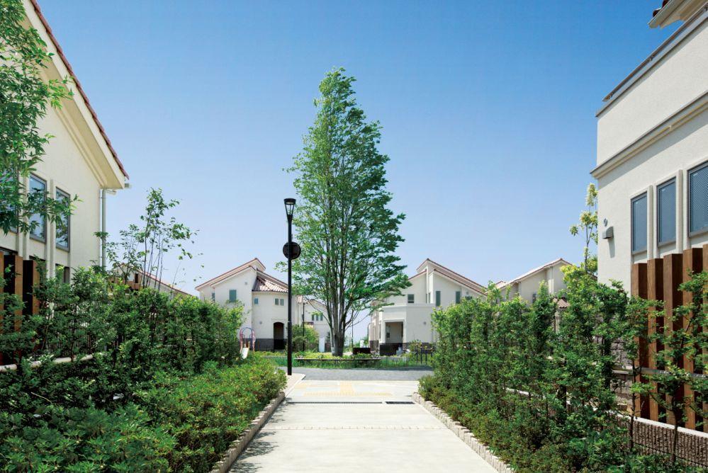 Local appearance photo. Spread a bright sky, On a hill that has been framed in green forest. Aim is "Leafeon Machida Koyama months hill", Story of life as a "forest" is the beginning of the 196 family.