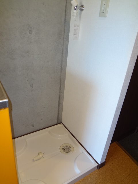 Other room space. Washing machine in the room