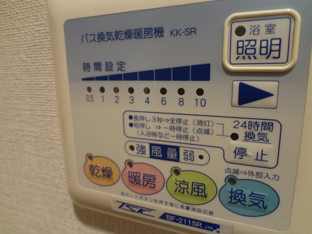 Other. Also it comes with a bathroom dryer