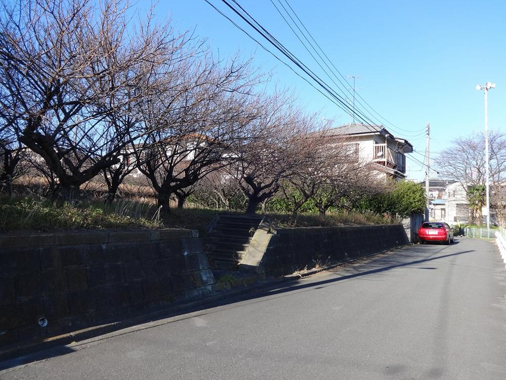 Local photos, including front road. Local (12 May 2013) Shooting