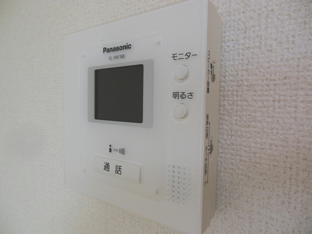 Security. Monitor with intercom
