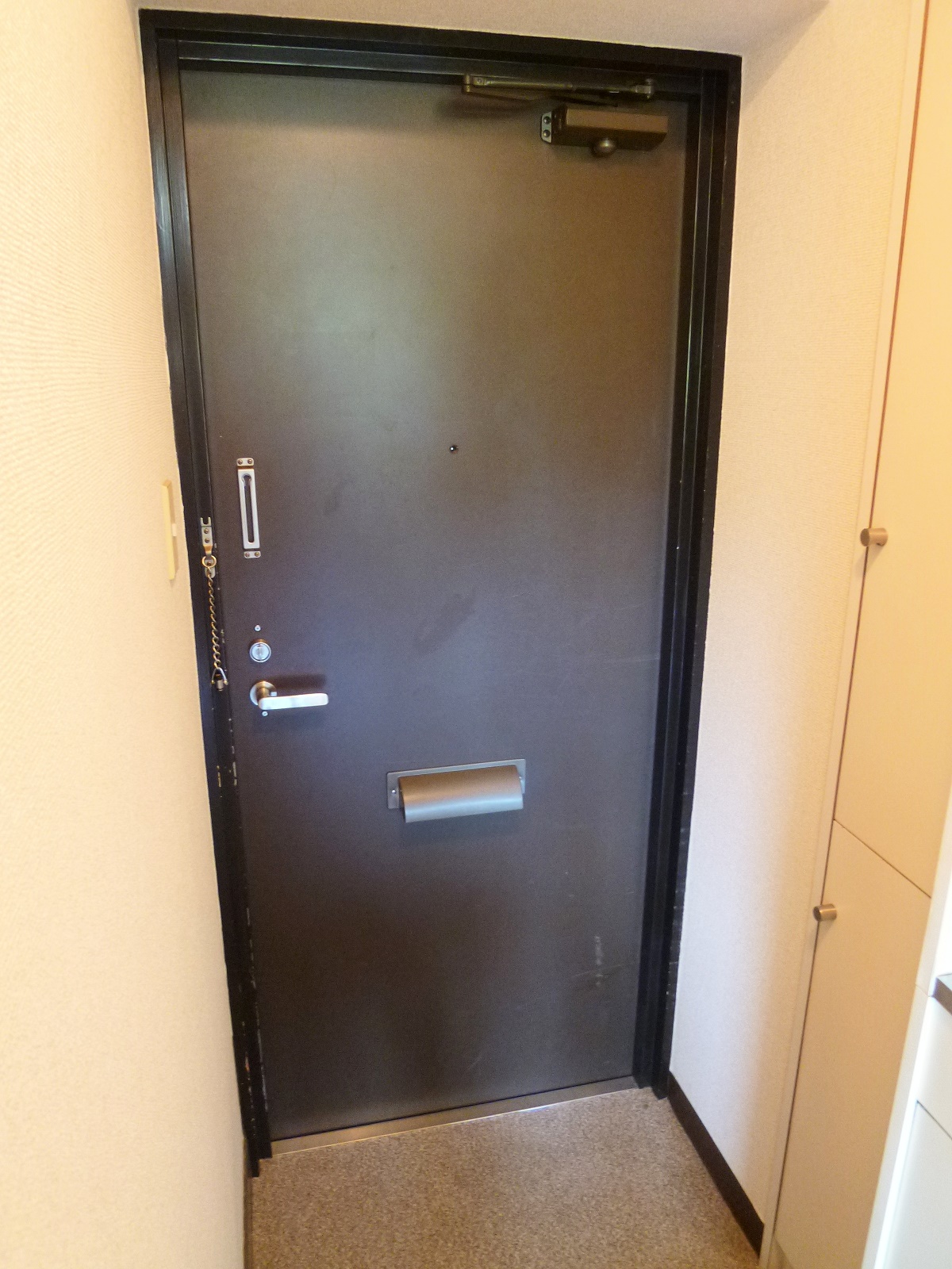 Entrance. Entrance of shoes BOX equipped