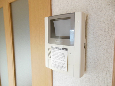 Security. Monitor Hong