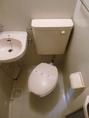 Toilet. Clean restroom