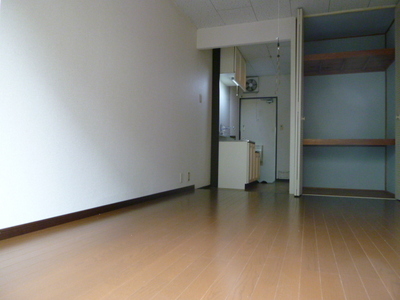 Living and room. Kitchen from the room