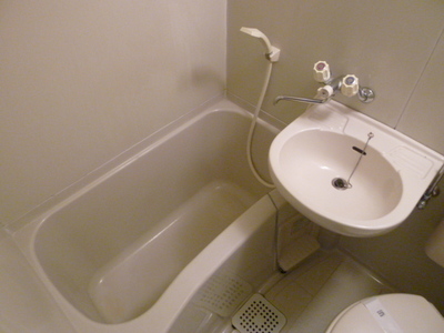 Bath. Beautiful bathroom