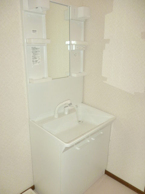 Washroom. Vanity shower