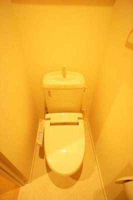 Toilet. There is a toilet of cleanliness with a bidet! 