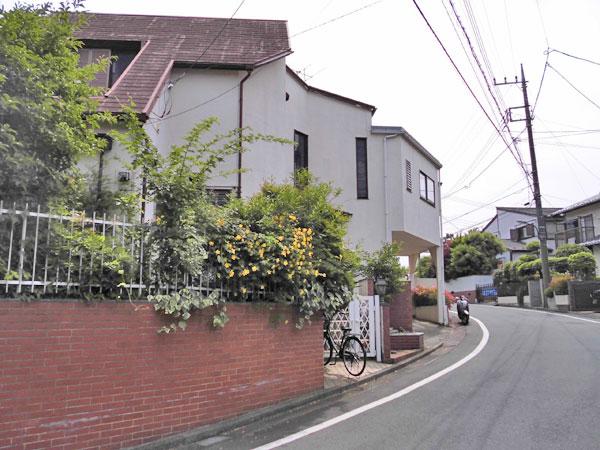 Local photos, including front road