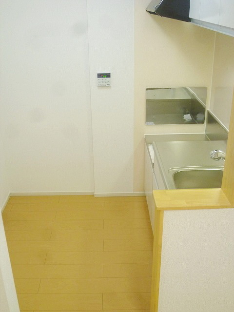 Kitchen. There is space put refrigerators, etc.