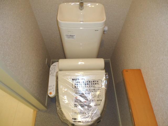 Toilet. 1st floor  Cleaning toilet