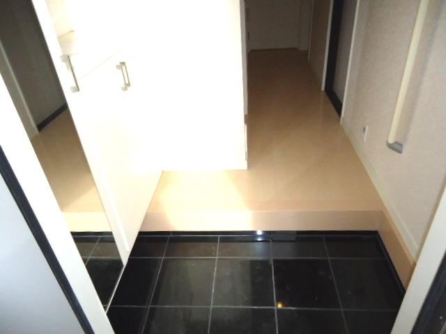 Entrance. Feeling of luxury entrance of the stone tiled