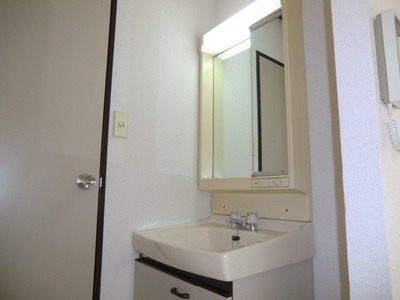 Washroom. Happy independence wash basin for women