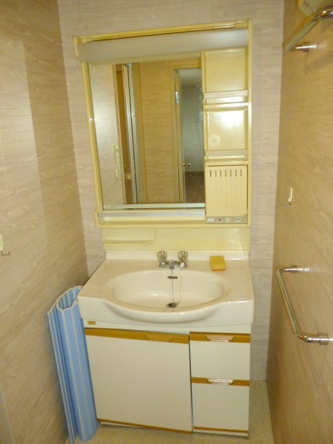 Washroom. Bathroom vanity