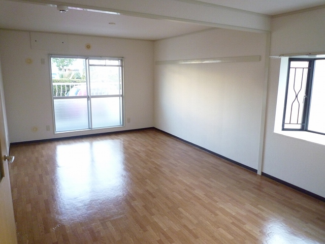 Living and room. Living