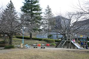 park. Tsukushino to Central Park 993m