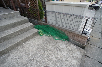 Other common areas. Garbage dump