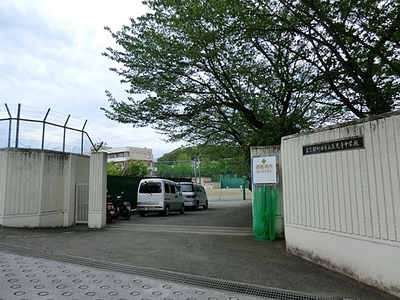 Junior high school. Until the (junior high school) 300m