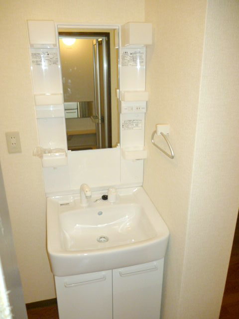 Washroom. Vanity shower