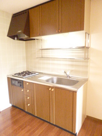 Kitchen. There system Kitchen