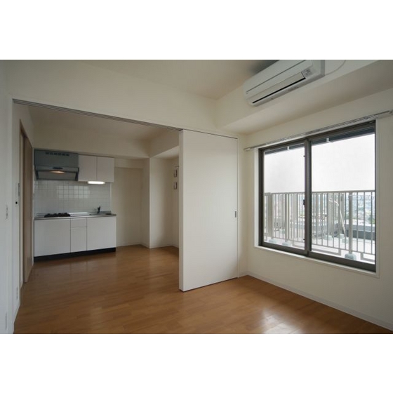 Other. Room (V type)