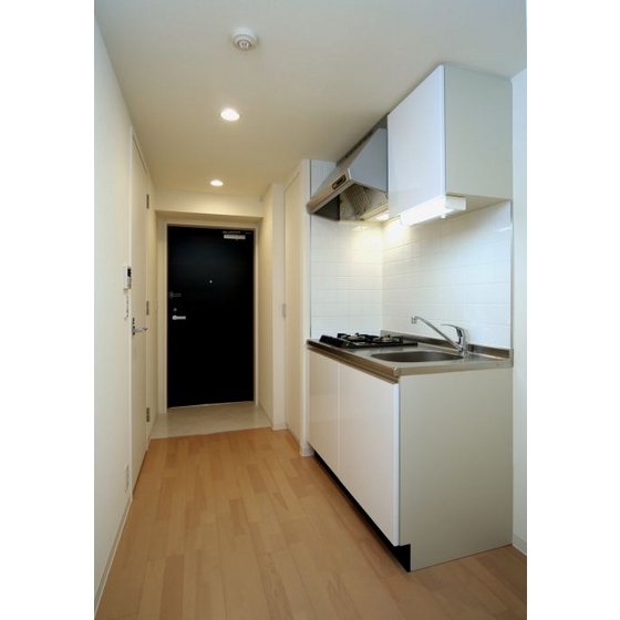 Kitchen. Gasukitchin 2-neck