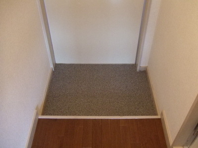 Entrance. Entrance space