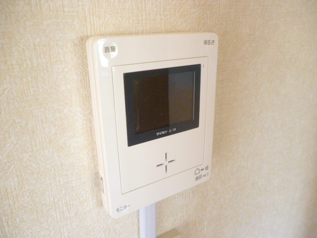 Security. TV monitor interphone