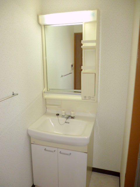 Washroom. Bathroom vanity