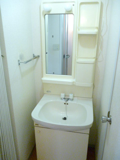 Washroom. Bathroom vanity
