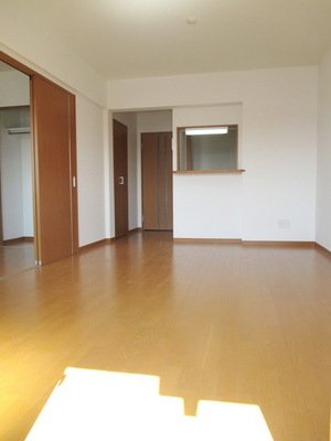 Living and room. Sunny living