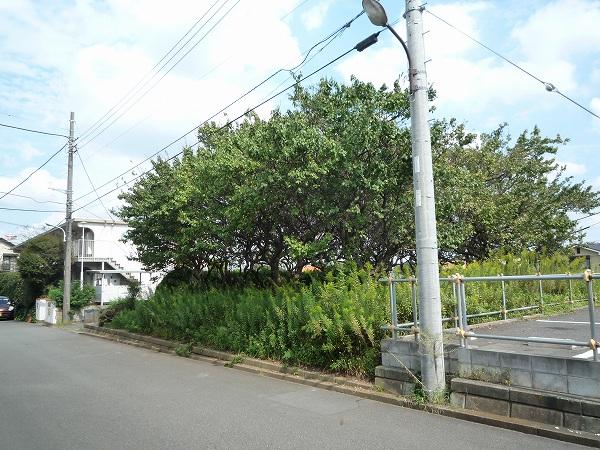 Local land photo. Local (10 May 2013) Shooting