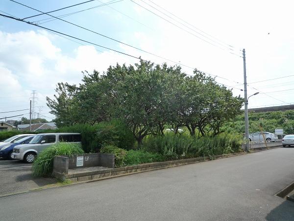 Local land photo. Local (10 May 2013) Shooting