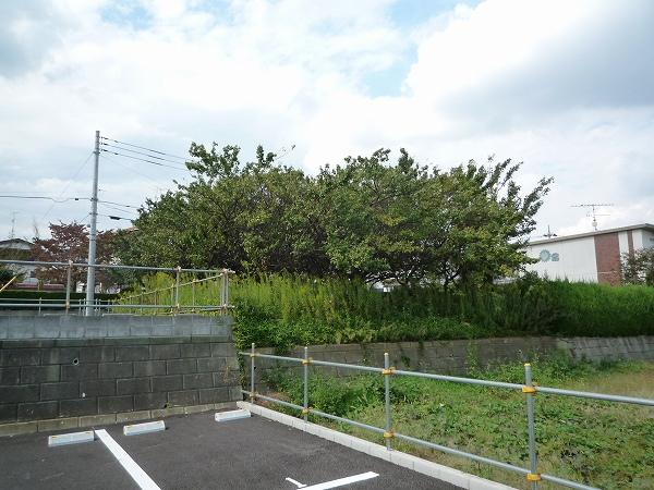 Local land photo. Local (10 May 2013) Shooting