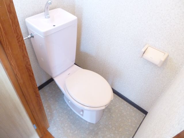 Toilet. Western-style toilets.