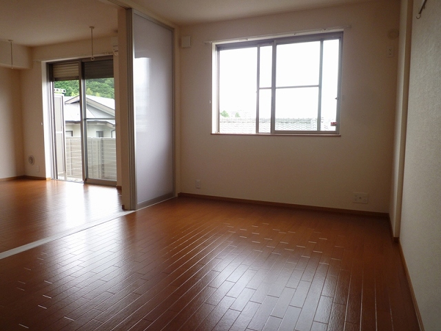 Other room space. Western style room