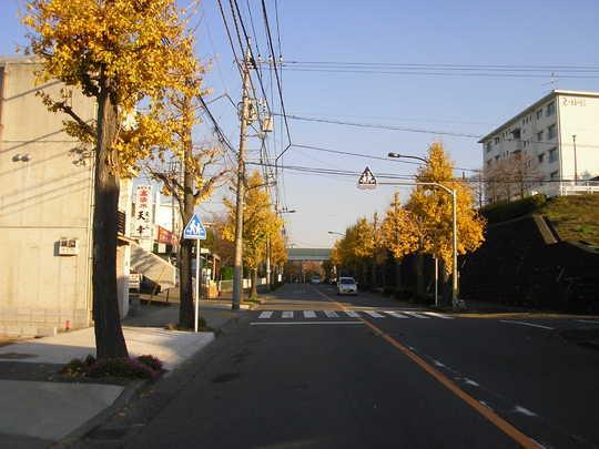 Local photos, including front road. Frontal road