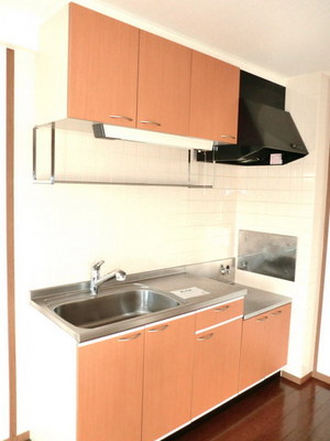 Kitchen. Gas stove will be installed