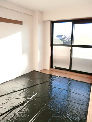 Other room space. Is a Japanese-style room