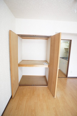 Living and room. Spacious storage is glad the room