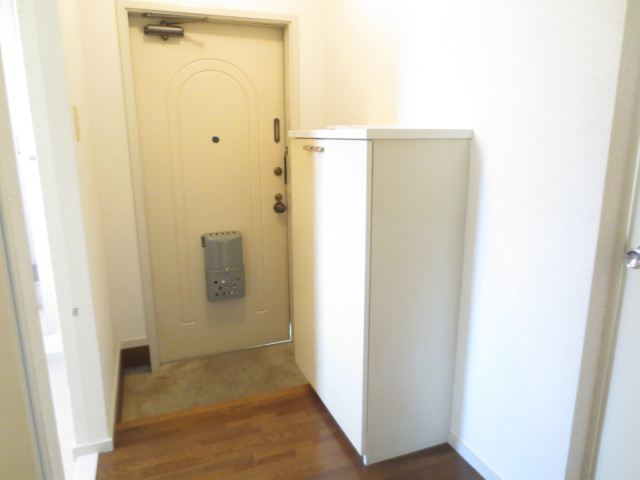 Entrance. Is a cupboard large.