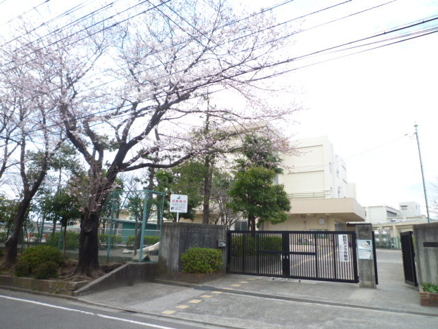 Primary school. Narusedai elementary school About 240m until the (elementary school) 240m