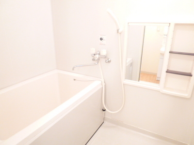 Bath. Healing space spread the bathroom