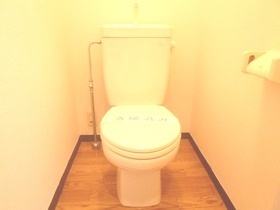 Toilet. Bus toilet by type