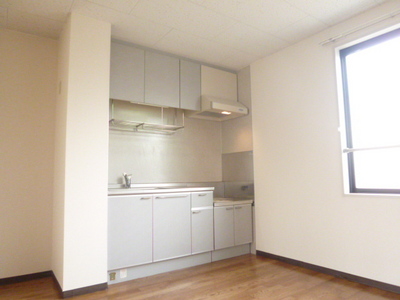 Kitchen. Gas stove installation Allowed Kitchen