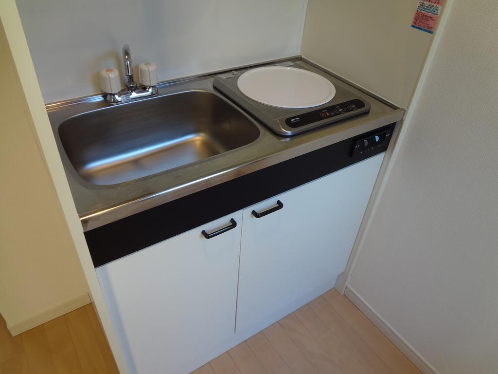 Kitchen. IH cooking heater